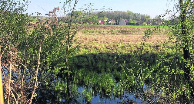 To zdjęcie działki pod grzebowisko Stowarzyszenie „Nasza Olszanica” zrobiło w maju tego roku