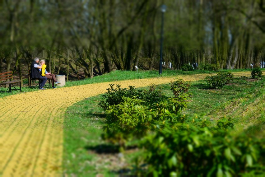 Śląski Ogród Botaniczny. Międzynarodowy Dzień Ptaków