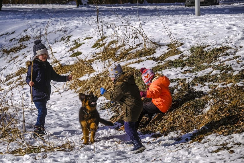 Tak torunianie spędzali sobotę na górkach w Toruniu