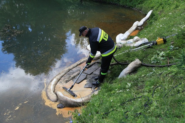 W środę wpuszczono do wody ropopochodną ciecz. Mimo że strażacy wypompowali blisko 1000 litrów substancji, ucierpiało wiele zwierząt