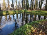 Szok. Jak zmienił się park w Zatoniu. To propozycja na świąteczny spacer