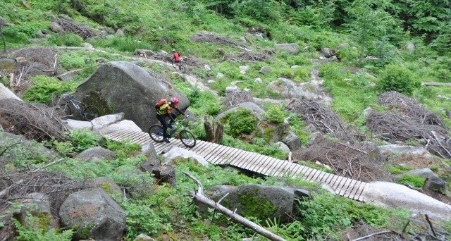 Rychlebskie Stezki - nowa atrakcja dla miłośników ekstremalnej jazdy na rowerze górskim. Co drugi rowerzysta przyjechał tu z Polski. Czesi wybudowali ośrodek właściwie czynem społecznym.