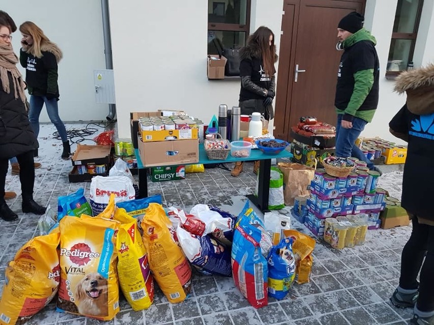 W Zwoleniu zorganizowano zbiórkę darów dla zwierząt. Ponad pół tony jedzenia i artykuły dla zwierząt trafiły do przytuliska w Pionkach