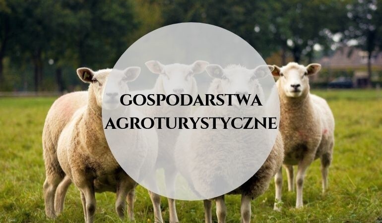 Poznaj liderów rankingu o tytuł Gospodarstwa Agroturystycznego Roku w województwie lubuskim! [GALERIA]