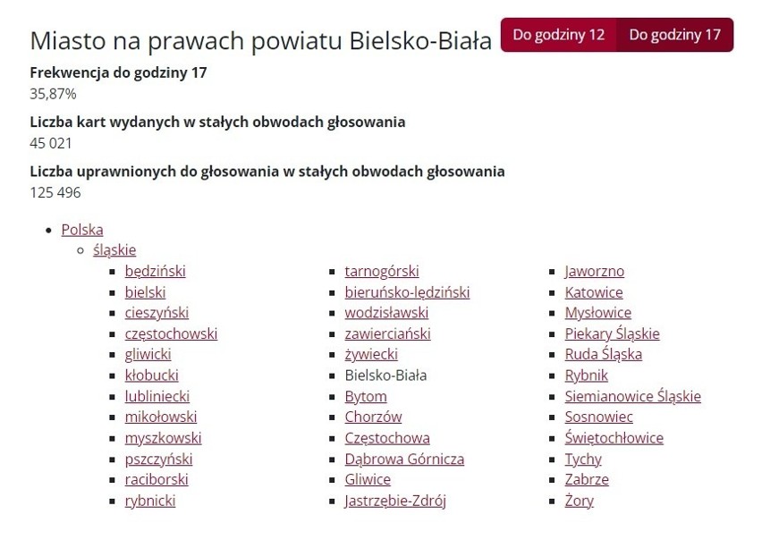 Frekwencja w Śląskiem jedna z najniższych - 36,02 proc. W Katowicach 33,10 proc. Rekordowa frekwencja w Irządzach