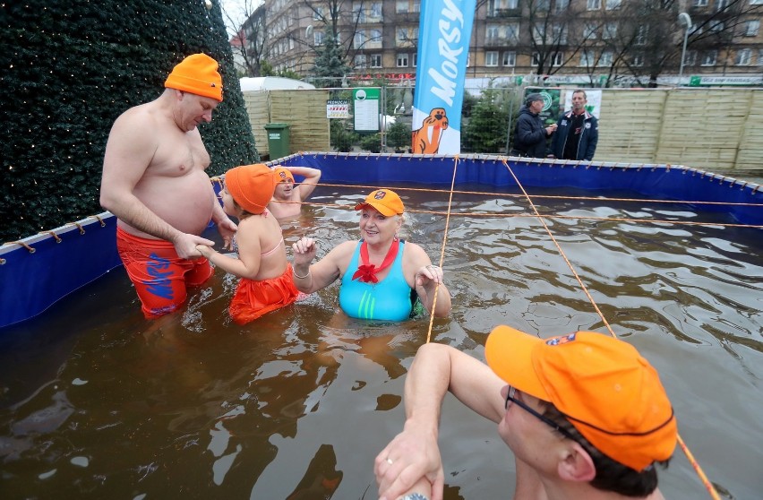 Morsy w centrum Szczecina! Kąpiel w basenie na jarmarku [ZDJĘCIA, WIDEO] 