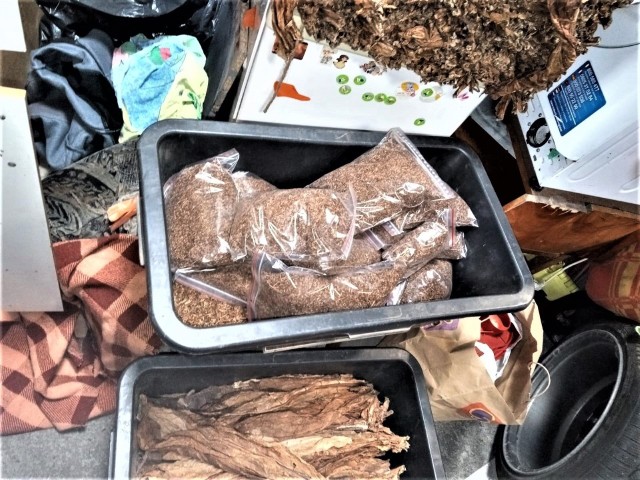 Na zdjęciu tytoń, krajanka tytoniowa w workach foliowych oraz liście tytoniu ułożone w stos