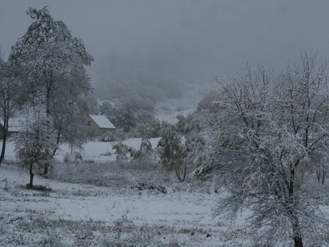 Zima w BieszczadachW Bieszczadach spadl pierwszy śnieg tej jesieni. W dolinach lezy go okolo 3 cm. Na Poloninie Wetlinkiej 5 cm. Powyzej górnej granicy lasu widocznośc jest ograniczona do 50 metrów.