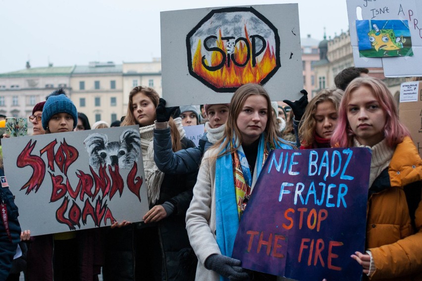 Protest Młodzieżowego Strajku Klimatycznego na Rynku