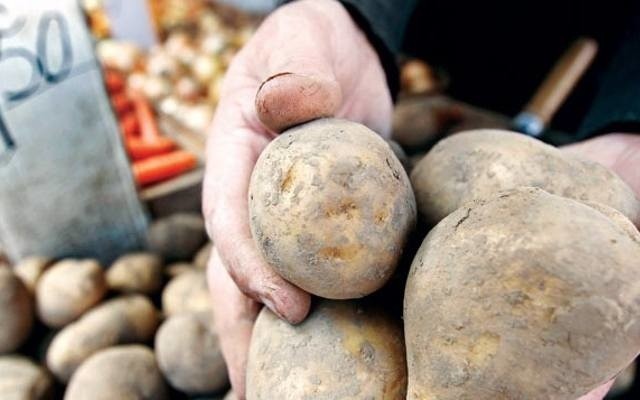 Ceny ziemniaków szybują w górę. Taniej już było