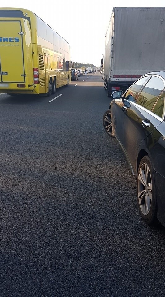 Wypadek na S3 koło Myśliborza. Zderzenie busa z samochodem służby drogowej [ZDJĘCIA]