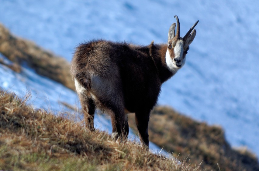 Tatry to dobry pomysł na weekendową wycieczkę czy urlop...