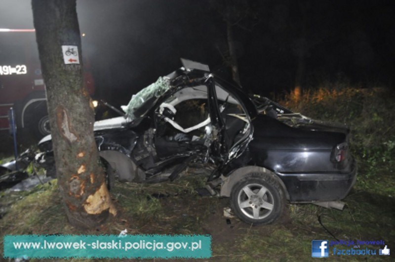 Wypadek pod Lwówkiem Śl: BMW uderzyło w drzewo. Kierowca zginął na miejscu (ZDJĘCIA)