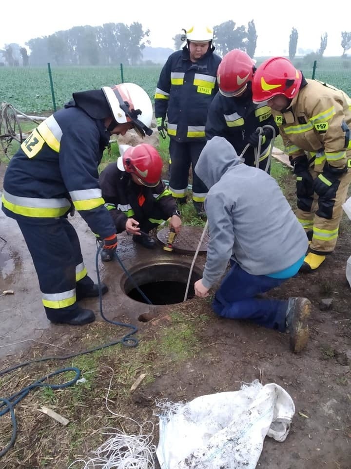 Wnętrze szamba przekraczało 60 metrów kwadratowych, panowała...