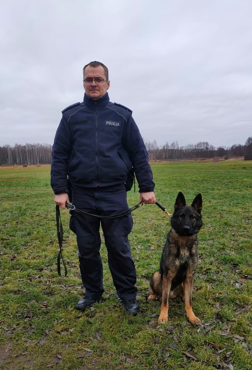 "Szejk" to specjalista od patrolowania ulic, a "Skała" jest ekspertką w wyszukiwaniu materiałów wybuchowych. To nowe psy krakowskiej policji