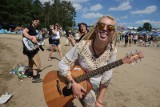 WOODSTOCK 2017: Kto zagra na Przystanku? [PROGRAM, ZESPOŁY, KONCERTY]