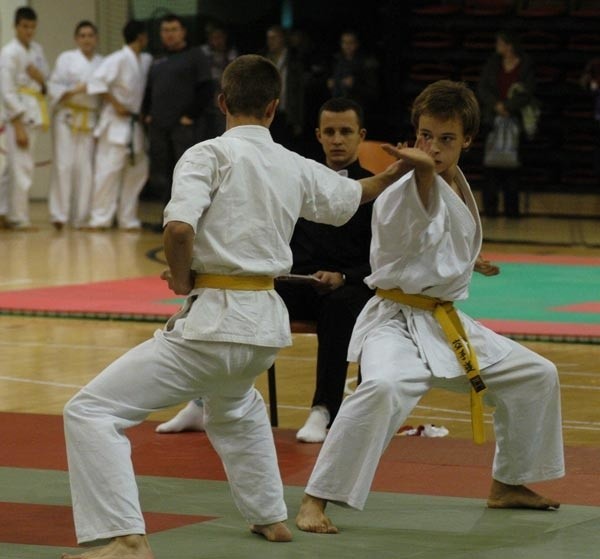 Karate Kyokushin...
