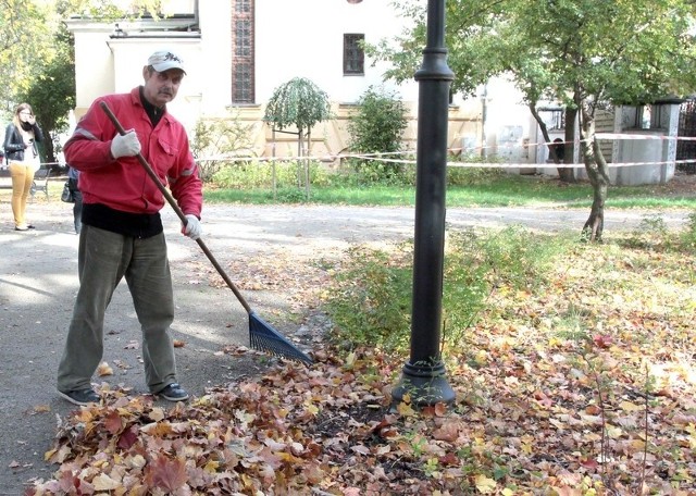 - Park musi być posprzątany, dlatego grabimy liście i wywozimy je na kompost &#8211; mówi Teodor Sikorski, którego zastaliśmy prze porządkowaniu parku imienia Tadeusza Kościuszki w Radomiu.