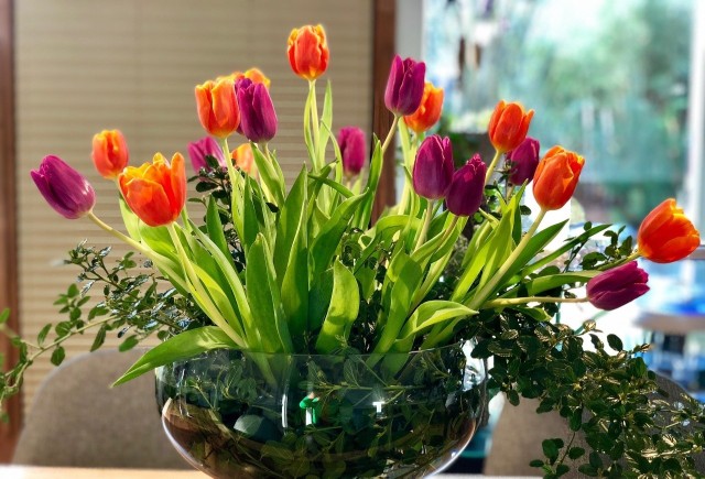 Tulipany wyglądają pięknie - w każdym kolorze i liczbie. Warto o nich pamiętać przy okazji Dnia Kobiet, ale i na co dzień.