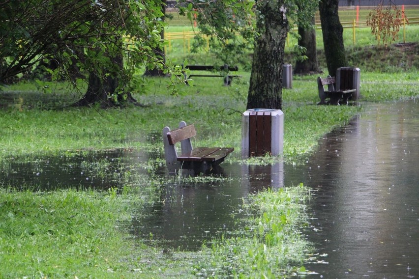 Białystok. Park Antoniuk pod wodą. Nad Białką pojawiły się jeziorka (zdjęcia)