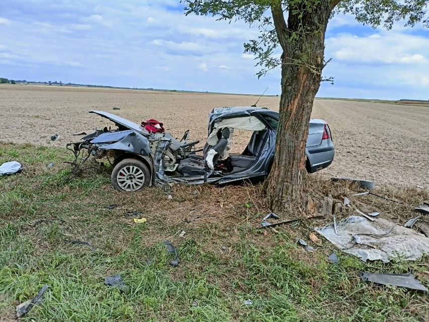 Koszmarny wypadek! 19-letni kierujący citroenem uderzył w drzewo [ZDJĘCIA]