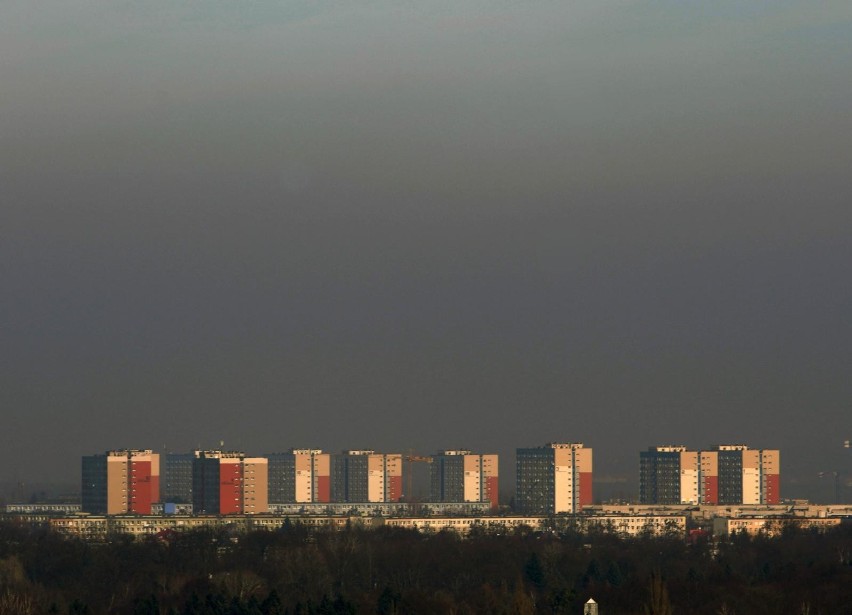 Smog - cichy truciciel i zabójca. Każdego roku ponad 4 mln dzieci choruje na  astmę. Przyczyną są zanieczyszczenia powietrza