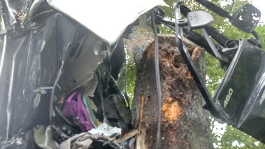 Wypadek na DW 527 w miejscowości Pachoły 21.09.2021 r. Samochód ciężarowy uderzył w drzewo, kierowca jest ranny