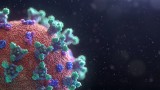 Koronawirusy i wywoływane przez nie choroby – COVID-19, grypa, zapalenie płuc, SARS i MERS