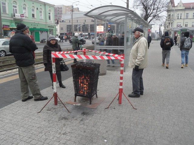 Koksowniki pojawiły się na przystankach w Częstochowie