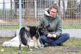 Bogusia powoli zdrowieje. Teraz czeka na nowy dom