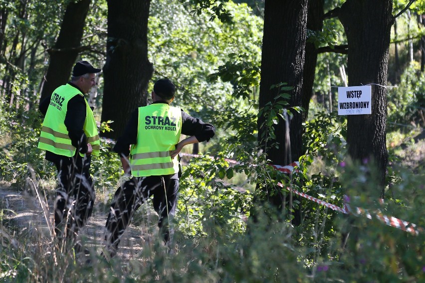 Poszukiwania tzw. złotego pociągu w 2016 roku