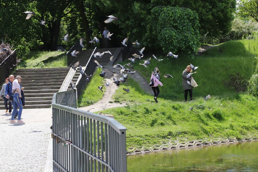 Remont parku Helenów w Łodzi