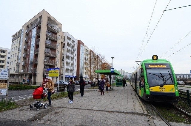 Trasa tramwajowa prowadząca wzdłuż Łaciny wymaga natychmiastowego remontu. Możliwe, że prace rozpoczną się w przyszłym roku. Mają być tak prowadzone, by nie kolidowały z drogowymi Fot: Paweł Miecznik