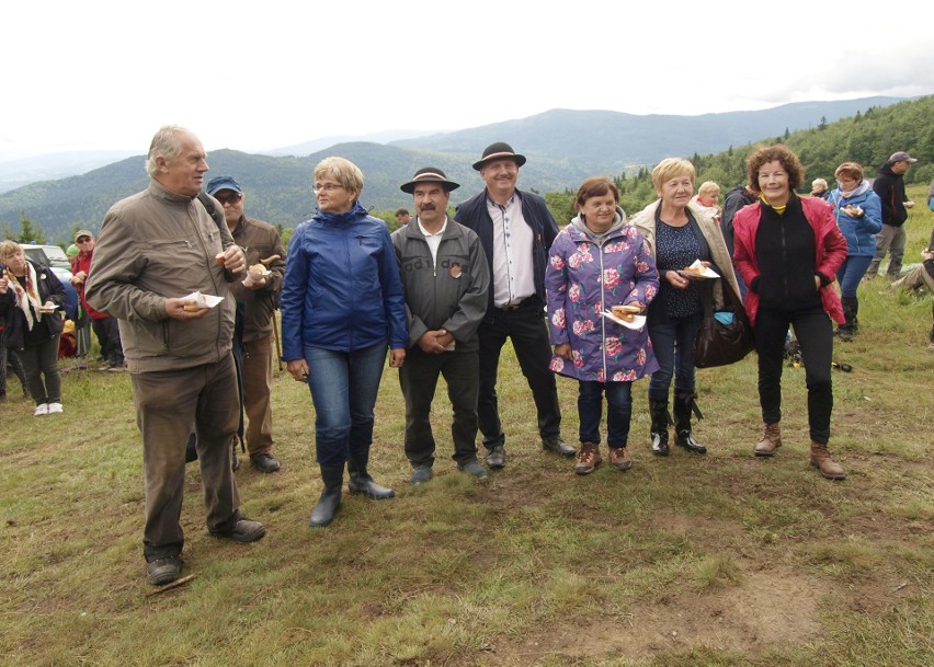 Odkryj Beskid Wyspowy. Mimo niesprzyjającej pogody pokonali Jasień [ZDJĘCIA]