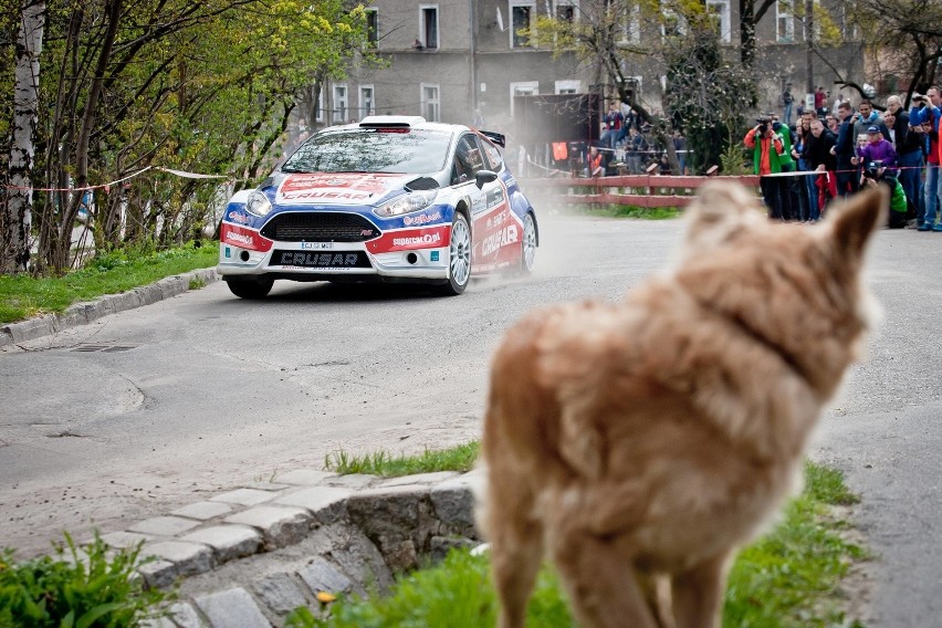 43. Rajd Świdnicki Krause [WYNIKI, ZDJĘCIA] - para Grzyb/Hundla najlepsza