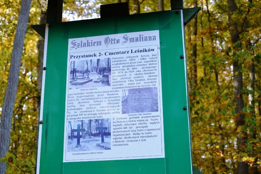 Zabił się przez kilka "groszy". Śladami Otto Smaliana. Niezwykły cmentarz niemieckich leśników (zdjęcia)