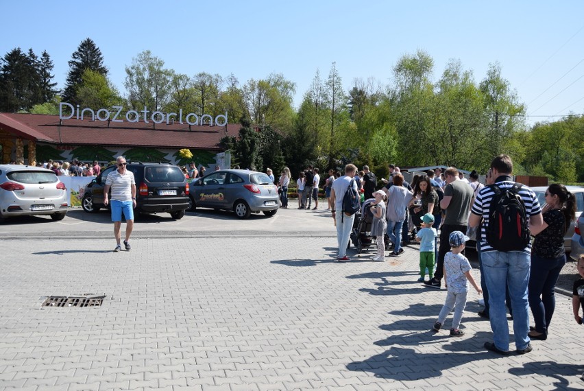 Z zimowego snu obudziły się dinozaury w Zatorlandzie. Dołączył do nich największy jaki żył i jaki wybudowano na świecie [ZDJĘCIA, WIDEO] 