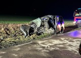 Śmiertelny wypadek w Gołańczy. Samochód uderzył w drzewo. Nie żyje 29-latek