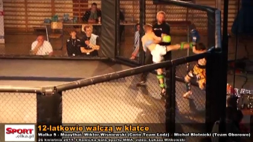 MMA w Rawiczu: Brutalne walki 12-latków w klatce