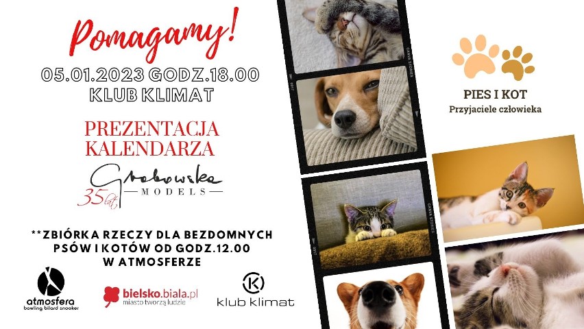 Prezentacja charytatywnego kalendarza „Mam kota na punkcie psa" już w czwartek w Bielsku-Białej