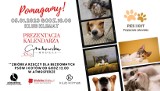 Prezentacja charytatywnego kalendarza „Mam kota na punkcie psa" już w czwartek w Bielsku-Białej