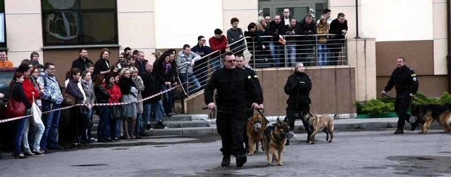 Podczas dni otwartych można było zobaczyć pokaz umiejętności psów policyjnych