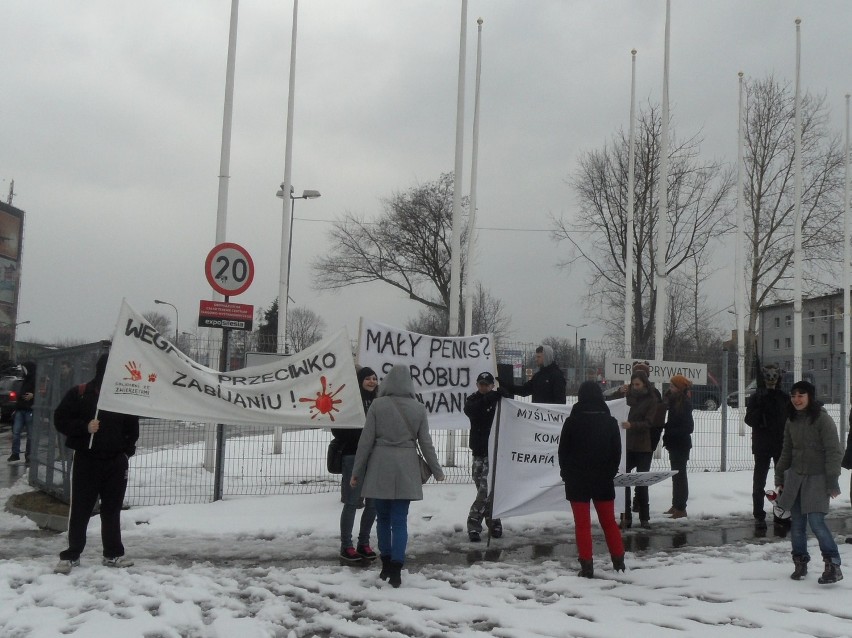 Sosnowiec: Weganie protestowali przeciwko targom łowieckim w Expo Silesia [ZDJĘCIA i WIDEO]