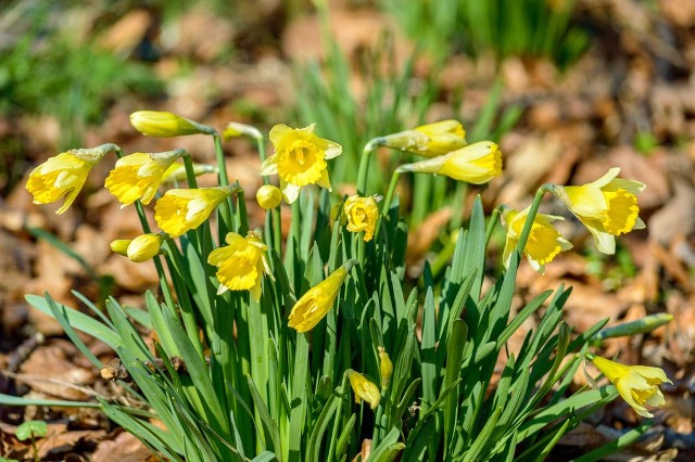 Temperatura w głębi lądu wzrośnie do 15 stopni Celsjusza, nad samym morzem będzie od 10 do 12 stopni.