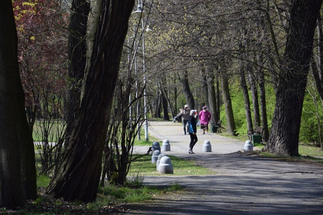 Park Kościuszki w Katowicach 21 kwietniaZobacz kolejne zdjęcia. Przesuwaj zdjęcia w prawo - naciśnij strzałkę lub przycisk NASTĘPNE