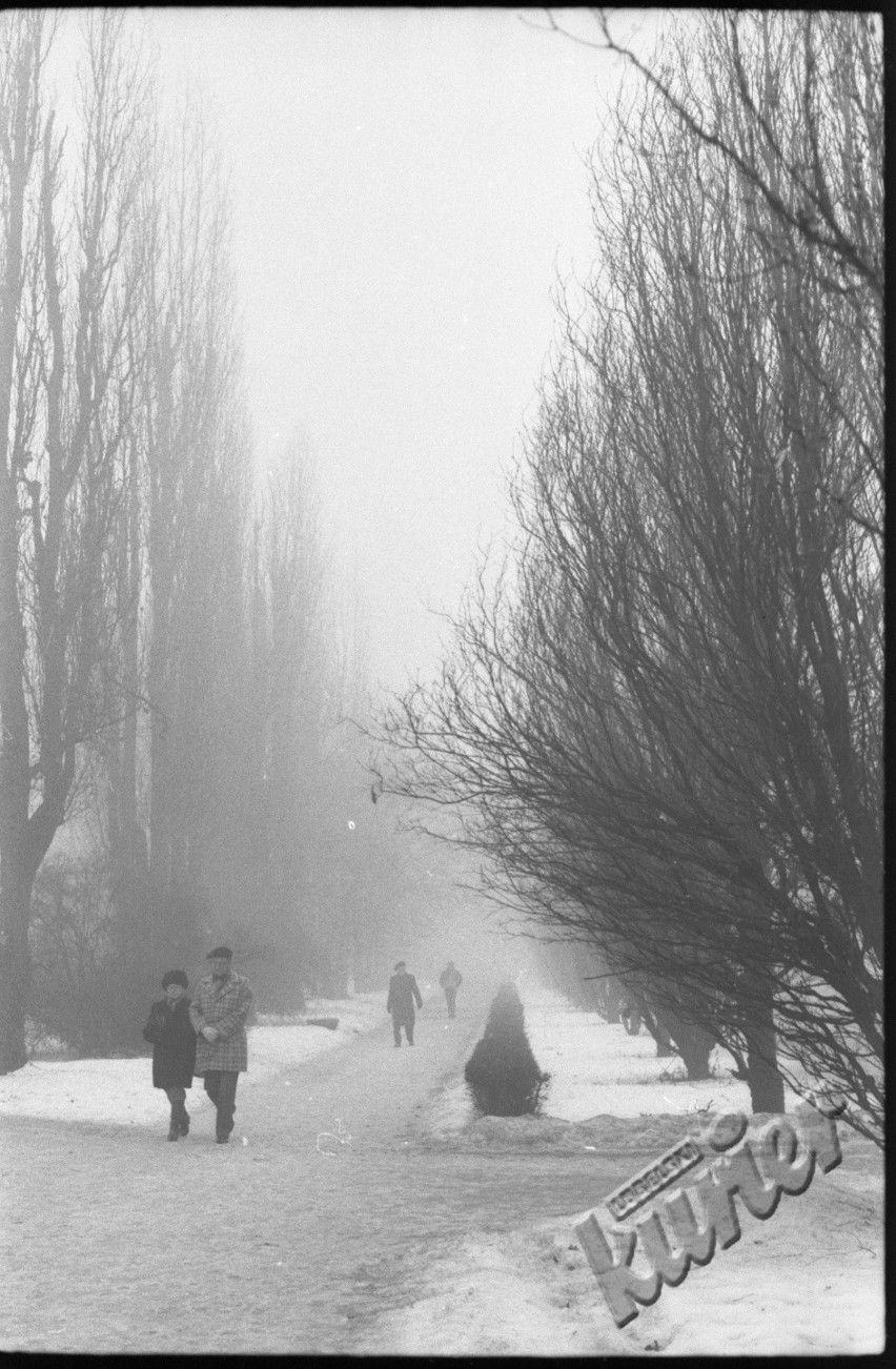 Aleje Racławickie, 1987