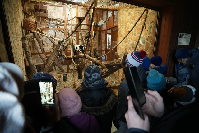 Rozpoczęły się ferie zimowe. Zajęcia dla najmłodszych organizowane są m.in. w toruńskim zoo