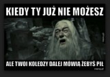 Harry Potter niebawem znów w Polsce. Przypominamy najlepsze memy [galeria]