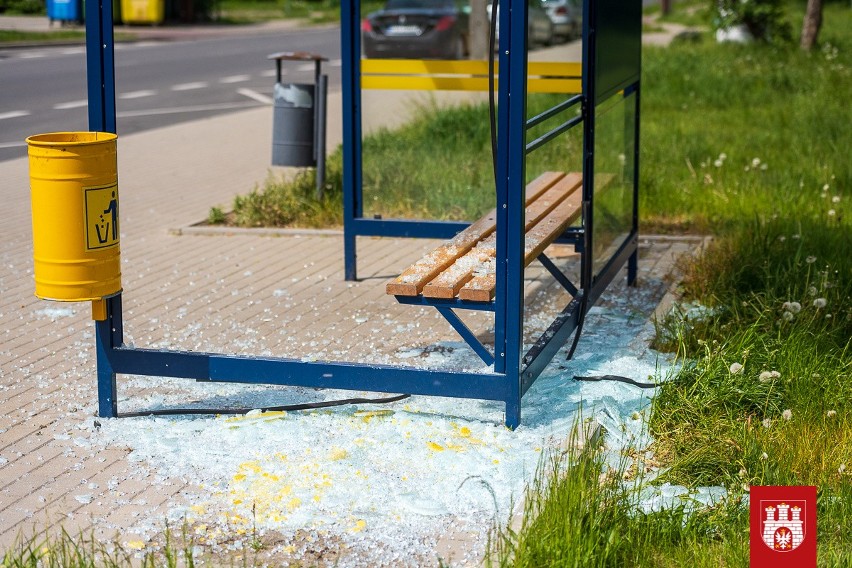 Plaga ataków na przystanki. Wandalem okazało się nawet dziecko, a rodzice początkowo zignorowali sprawę