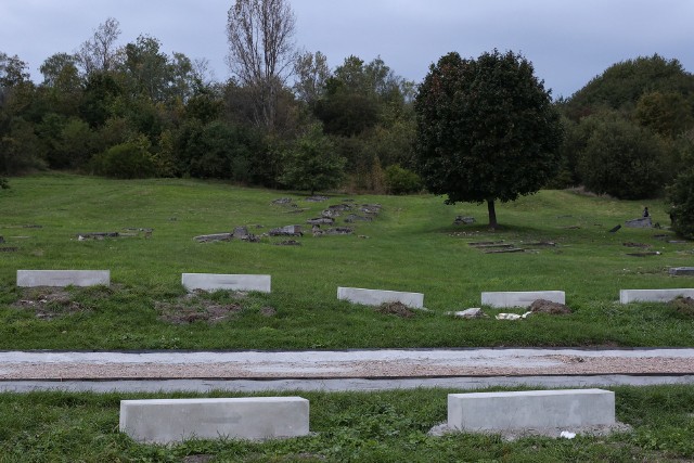 Muzeum - Miejsce Pamięci KL Plaszow w Krakowie. Niemiecki nazistowski obóz pracy i obóz koncentracyjny (1942−1945) rozpoczęło działalność 1 stycznia 2021 r. na podstawie uchwały Rady Miasta Krakowa. Jednostka zarządzana jest przez Muzeum Krakowa.Muzeum powstało, by objąć opieką teren po byłym niemieckim nazistowskim obozie koncentracyjnym Plaszow, funkcjonującym w latach 1942–1945. Ocenia się, że przeszło przez niego ok. 35 tys. więźniów: Żydów, Polaków i osób innych narodowości. W obozie zostało zamordowanych 5-6 tys. ludzi.